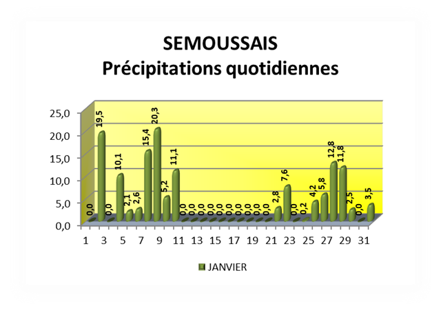 SEMOUSSAIS Précipitations quotidiennes